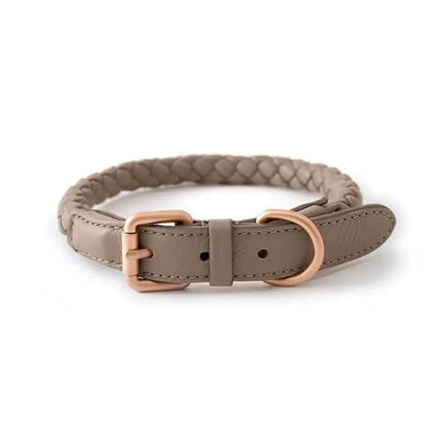 Premium Dog Collar and Leash Set - Stylish braided collar for medium and large dogs, durable with adjustable fit.