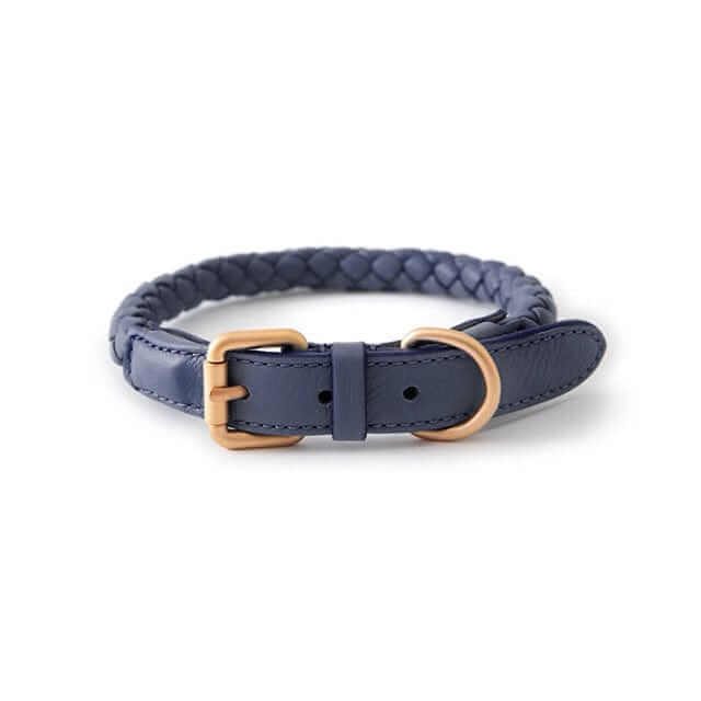 Premium Dog Collar and Leash Set - stylish blue collar for medium & large dogs, made by Dogs & Cats brand.