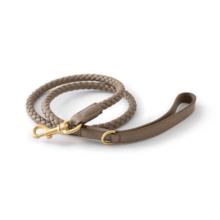 Premium Dog Collar and Leash Set, braided leash designed for medium and large dogs by Dogs & Cats.