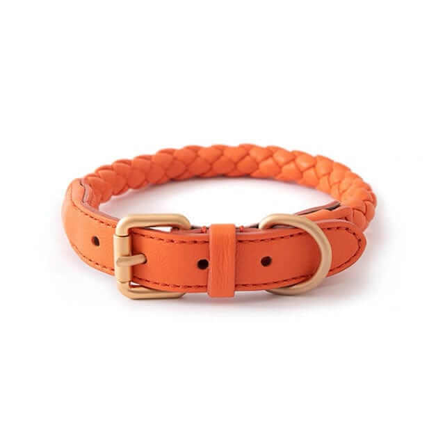 Premium Dog Collar and Leash Set stylish orange braided collar for medium and large dogs by Dogs & Cats.
