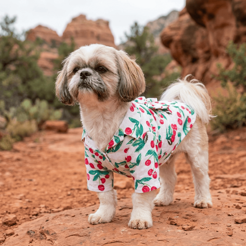 Printed Hawaiian Dog Shirt on a Shih Tzu in nature, featuring a trendy print, cotton material, and machine washable design.