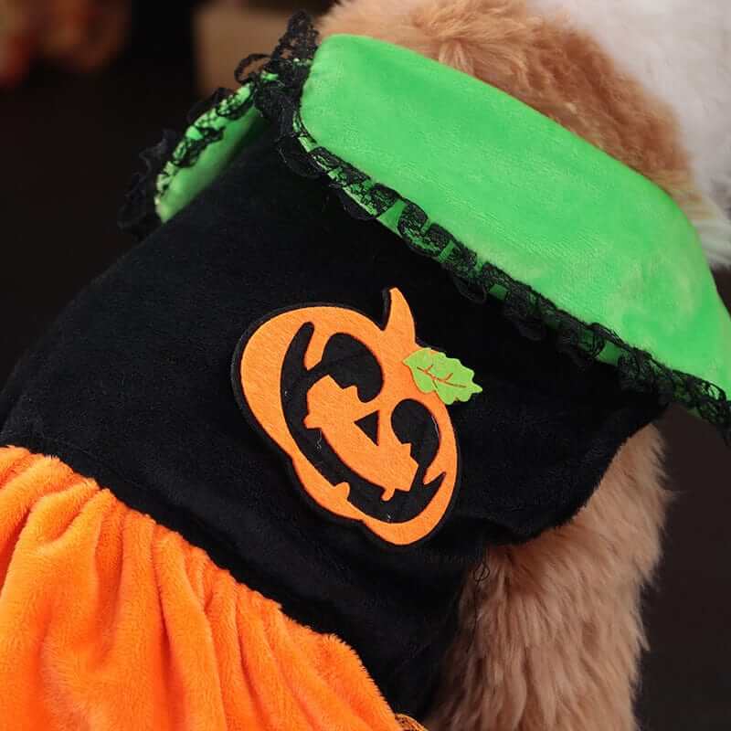 Pumpkin Paws Pet Costume for small dogs and cats with pumpkin design and ruffled skirt, perfect for Halloween.