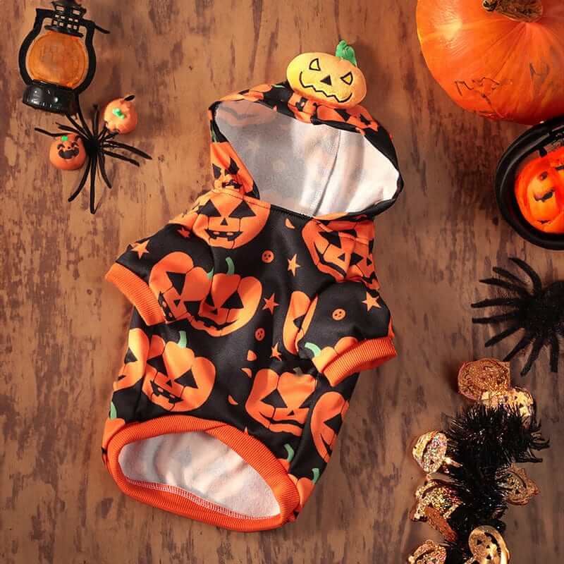 Pumpkin Paws Pet Costume for small dogs and cats featuring a festive pumpkin design, perfect for Halloween celebrations.