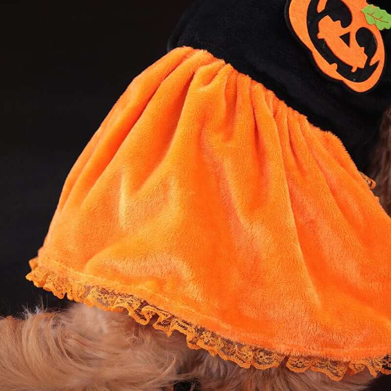 Pumpkin Paws Pet Costume features an adorable orange and black pumpkin outfit for small dogs and cats.