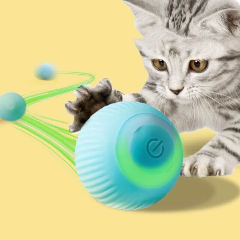 PurrChase Motion Ball, automatic toy for cats, engages natural hunting instincts, Dogs & Cats brand.