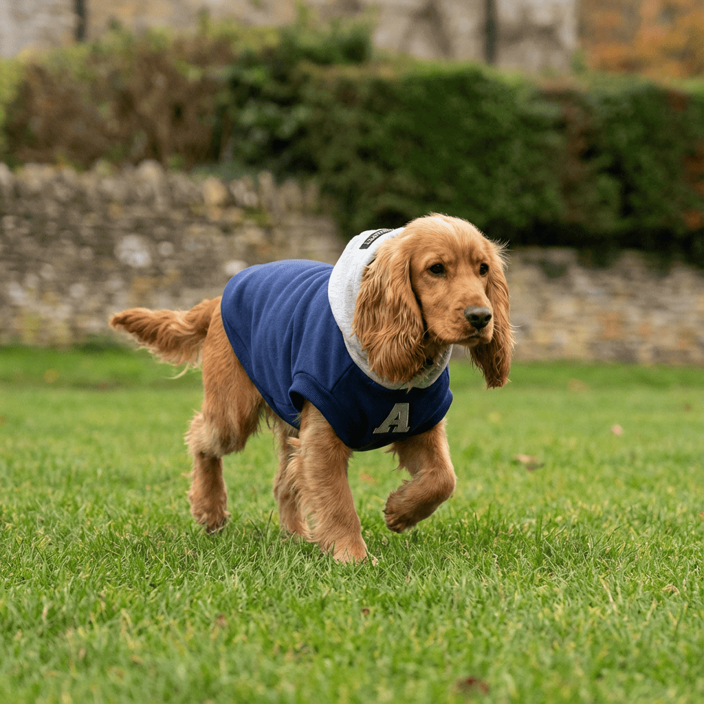 Reflective Letters Pet Sweater on a dog, showcasing reflective letters and stylish design for safety during walks.