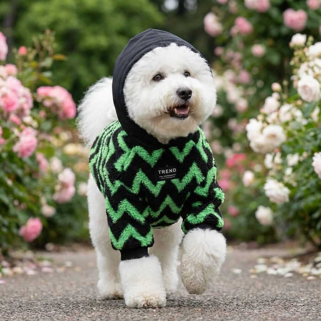 Regency Sherpa Dog Hoodie for medium and large dogs, featuring colorful fleece for warmth and style by Dogs & Cats brand.