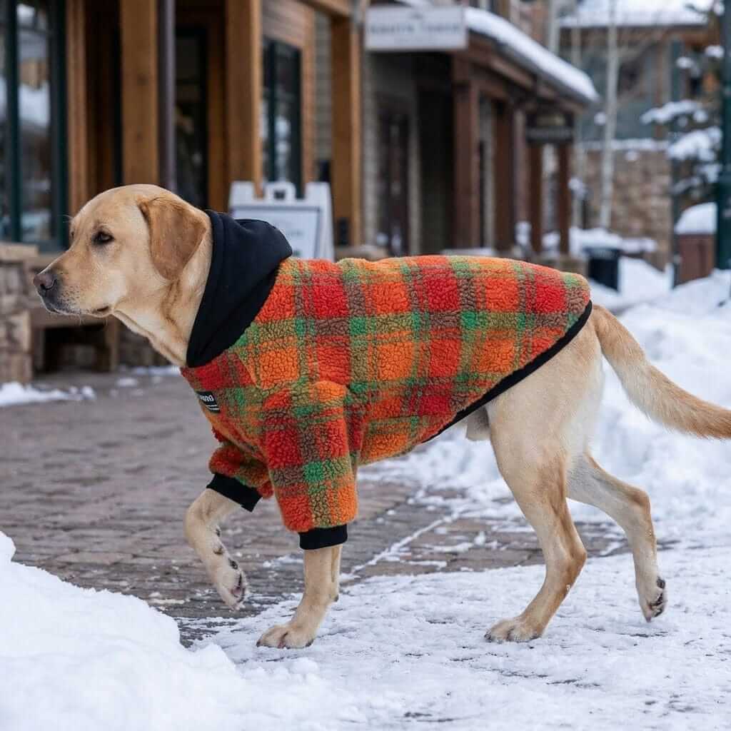 Regency Sherpa Dog Hoodie on a dog, featuring warm sherpa fleece, designed for medium and large dogs by Dogs & Cats.