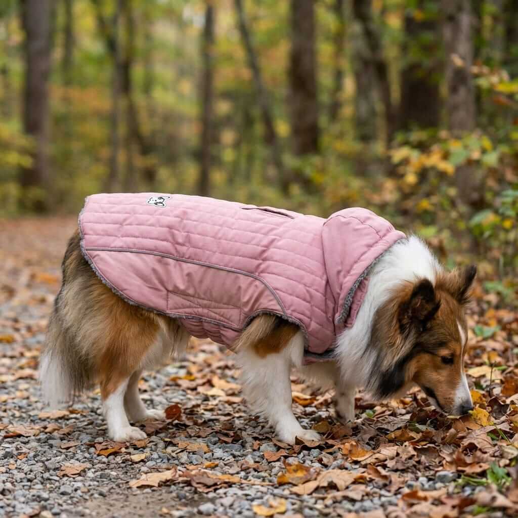 Removable Hood Dog Jacket for Dogs & Cats with soft lining and water-resistant exterior, perfect for chilly weather.