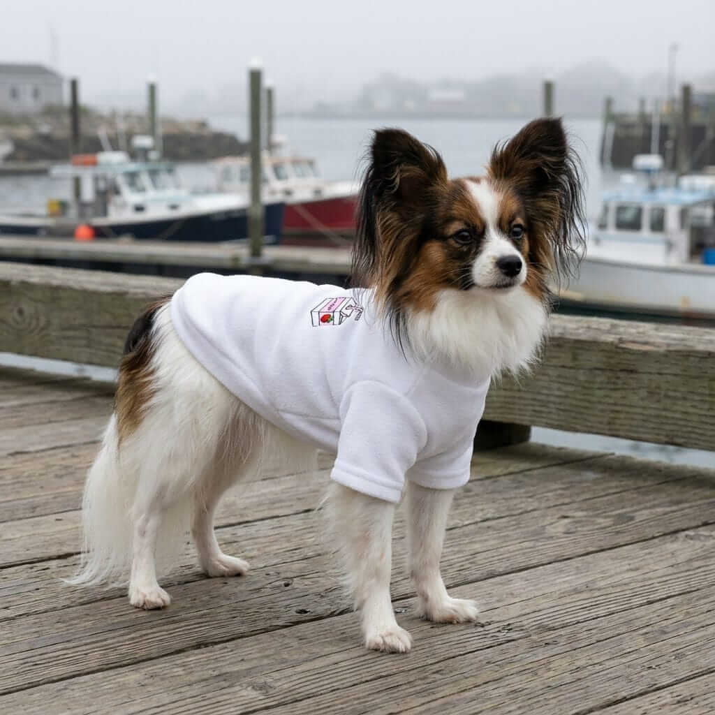 Restaurant Desires Dog Sweater on a stylish dog, featuring soft fabric, short sleeves, and a comfortable feel.
