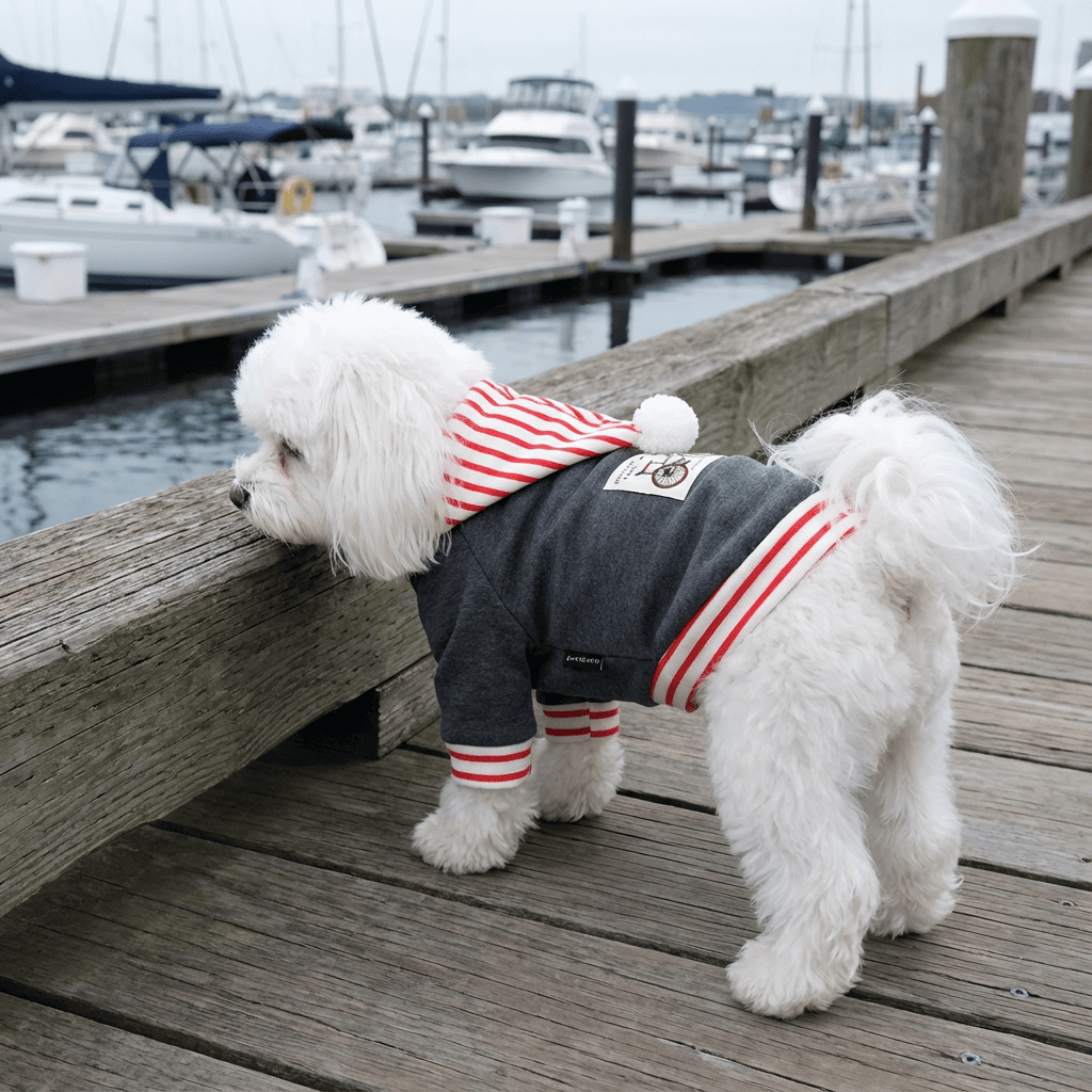 Riding Solo Striped Dog Sweater on a fluffy white dog by the marina, showcasing a striped pattern and comfortable design.