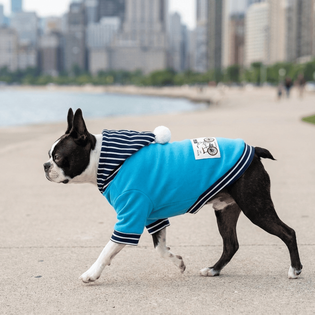 Riding Solo Striped Dog Sweater on a Boston Terrier dog walking by the lake, featuring soft fabric and striped pattern.