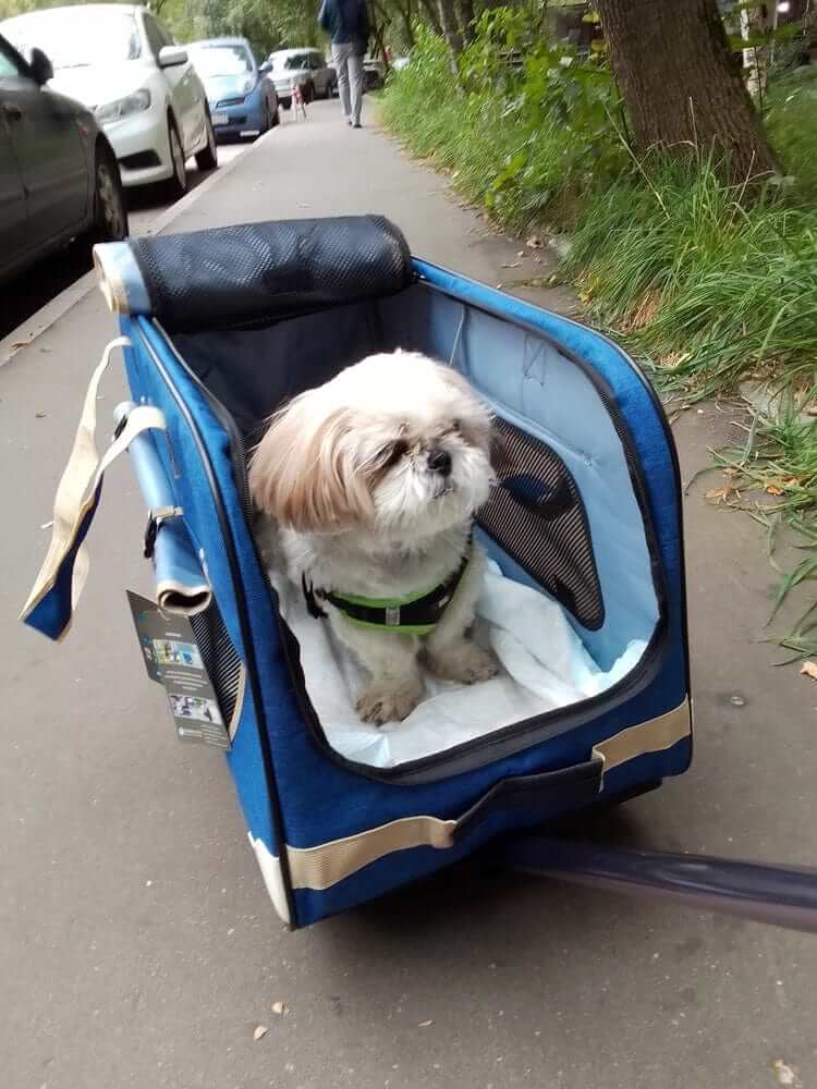 RollMate Pet Carrier for Dogs & Cats, four-wheel design, perfect for travel, featuring a comfortable interior.