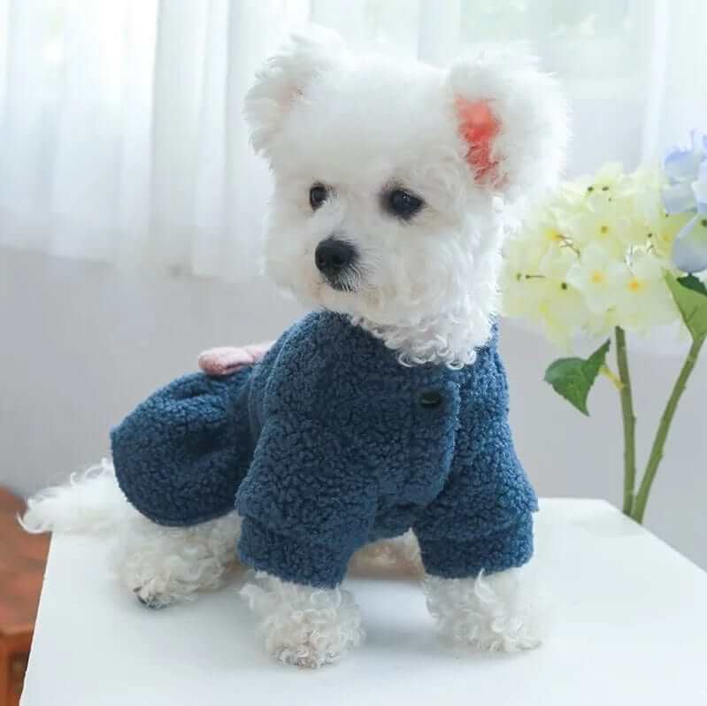 Royal Frost Bow Dress for Dogs & Cats, plush, cozy coat with blue bow for autumn and winter elegance.
