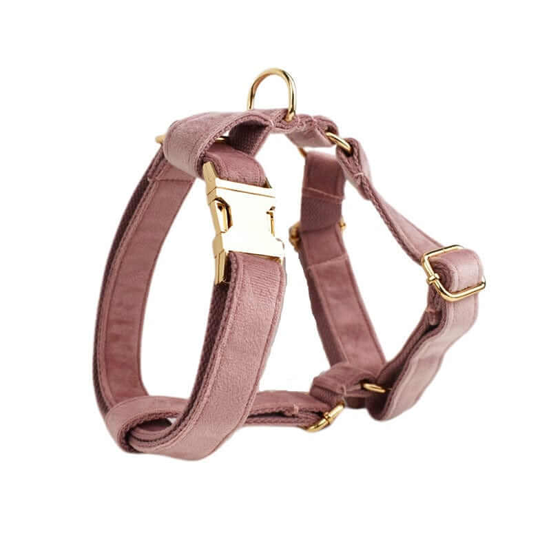 RoyalPaws Velvet Dog Set harness featuring premium velvet, golden buckles, designed for Dogs & Cats, luxurious pet accessory.