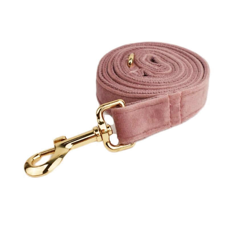 RoyalPaws Velvet Dog Set leash featuring soft pink velvet with gold clip, designed for style and comfort for dogs and cats.