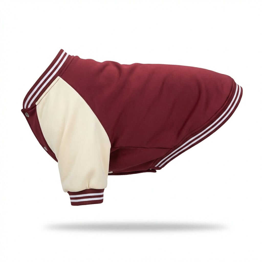 Signature Athletic Dog Jacket, varsity style, polyester fabric, comfortable outerwear for Dogs & Cats.