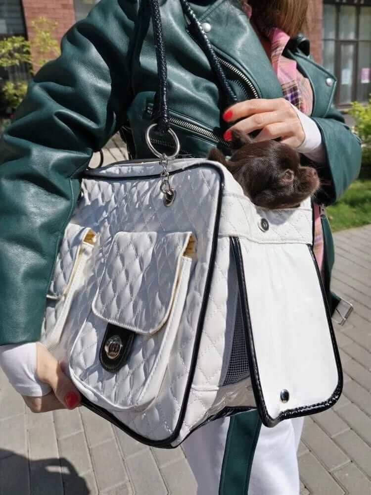 Sleek Leather Pet Carrier shown with a small dog, featuring premium leather design for both dogs and cats.