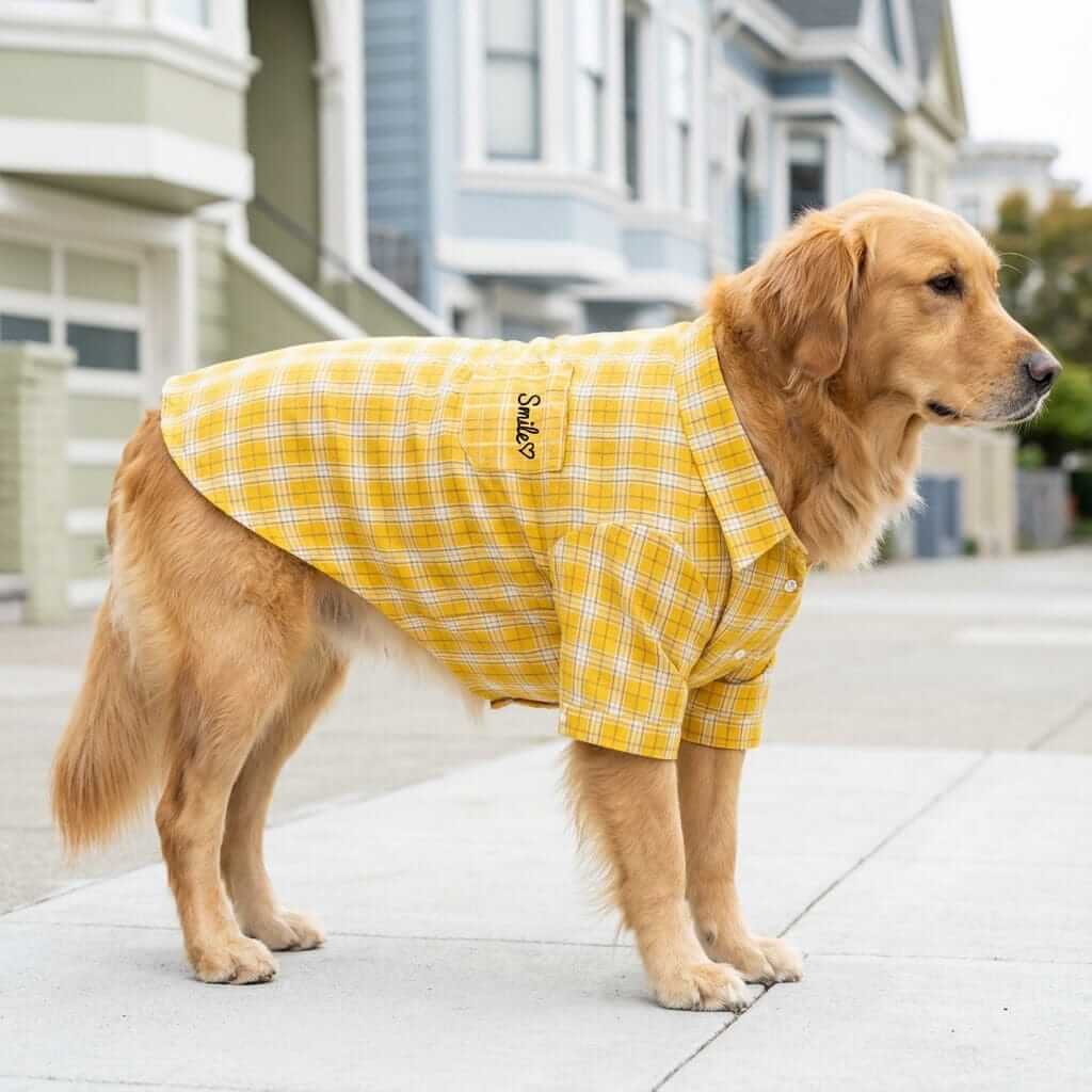 Smile Embroidered Plaid Dog Shirt on golden retriever showcasing comfort, button closure, and stylish plaid design.