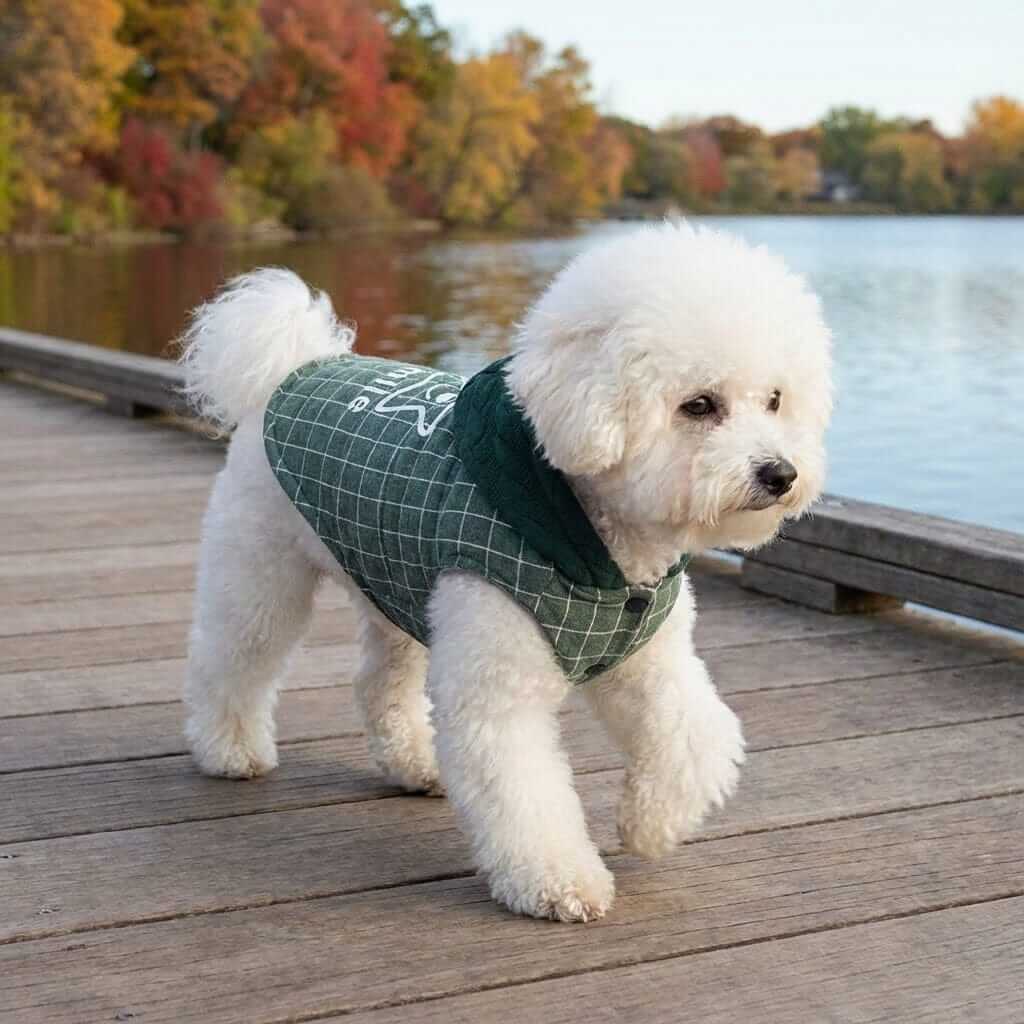 Smile Star Small Dog Hooded Coat on a fluffy dog by the lake, featuring a breathable hooded neckline and a lightweight design.