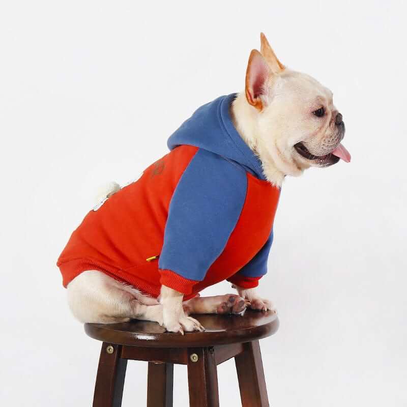 Snuggle Bear Dog Hoodie on a French Bulldog, featuring bear-themed design and soft fabric for warmth by Dogs & Cats.