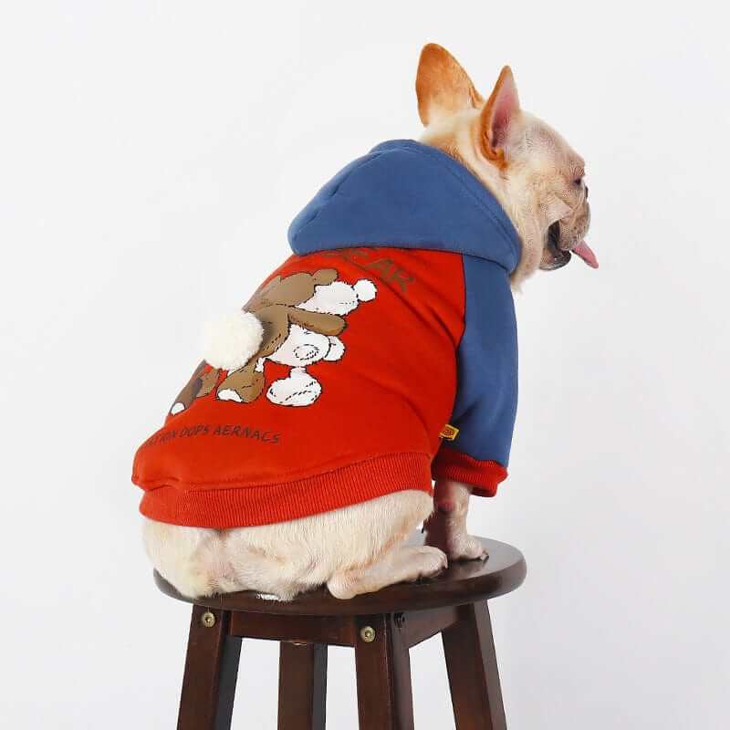 Snuggle Bear Dog Hoodie on a French Bulldog, featuring bear design, warm, cozy fabric, perfect for small dogs by Dogs & Cats.