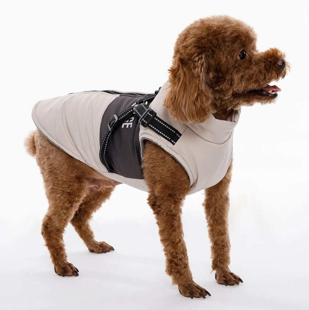 SnugglePup Fleece Vest for Dogs & Cats, soft fleece, convenient zipper, integrated D-ring, warm and stylish.