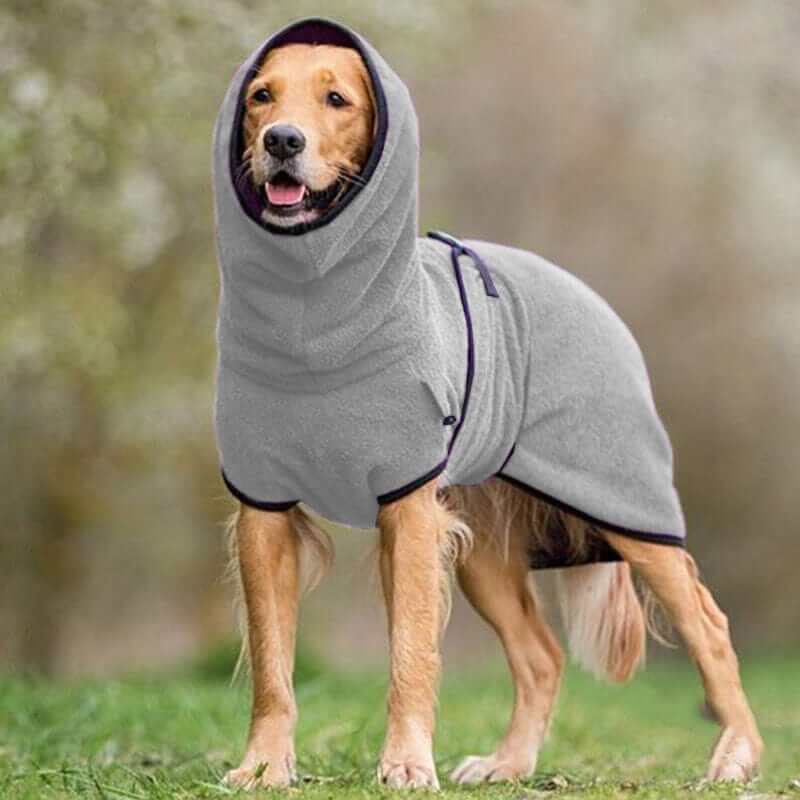 SnugPaws Winter Dog Coat on a dog, featuring plush fleece lining and adjustable fit for Greyhounds and Whippets.