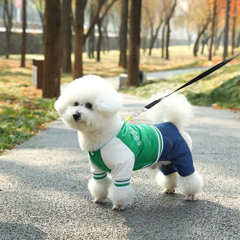 Speed Limit Pet Sports Jumpsuit, stylish dog outfit for small dogs, featuring sporty design and traction capabilities.