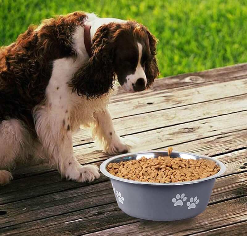 Stainless Steel Dog Bowl with non-slip base, perfect feeding solution for dogs and cats.