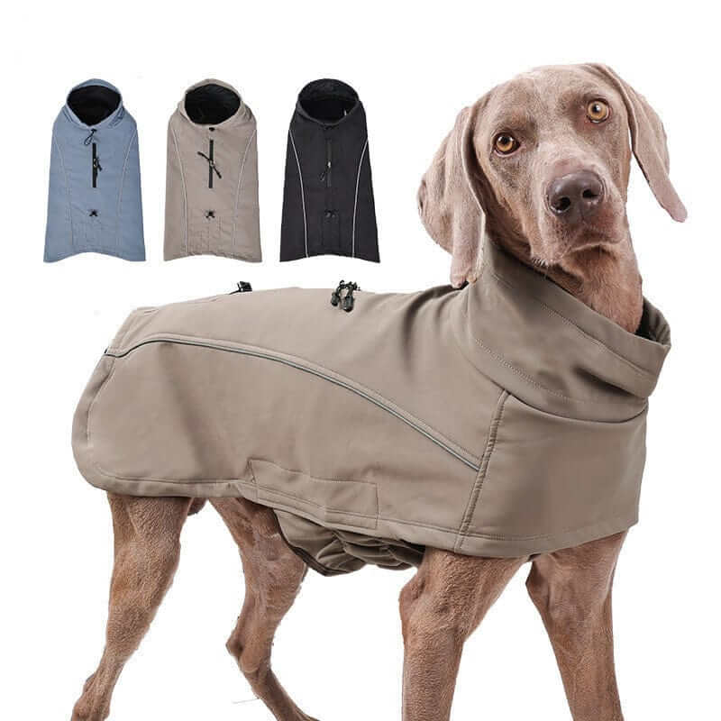 StormGuard Luxe Dog Coat: Waterproof protection, stylish design, perfect for all breeds from Dogs & Cats.