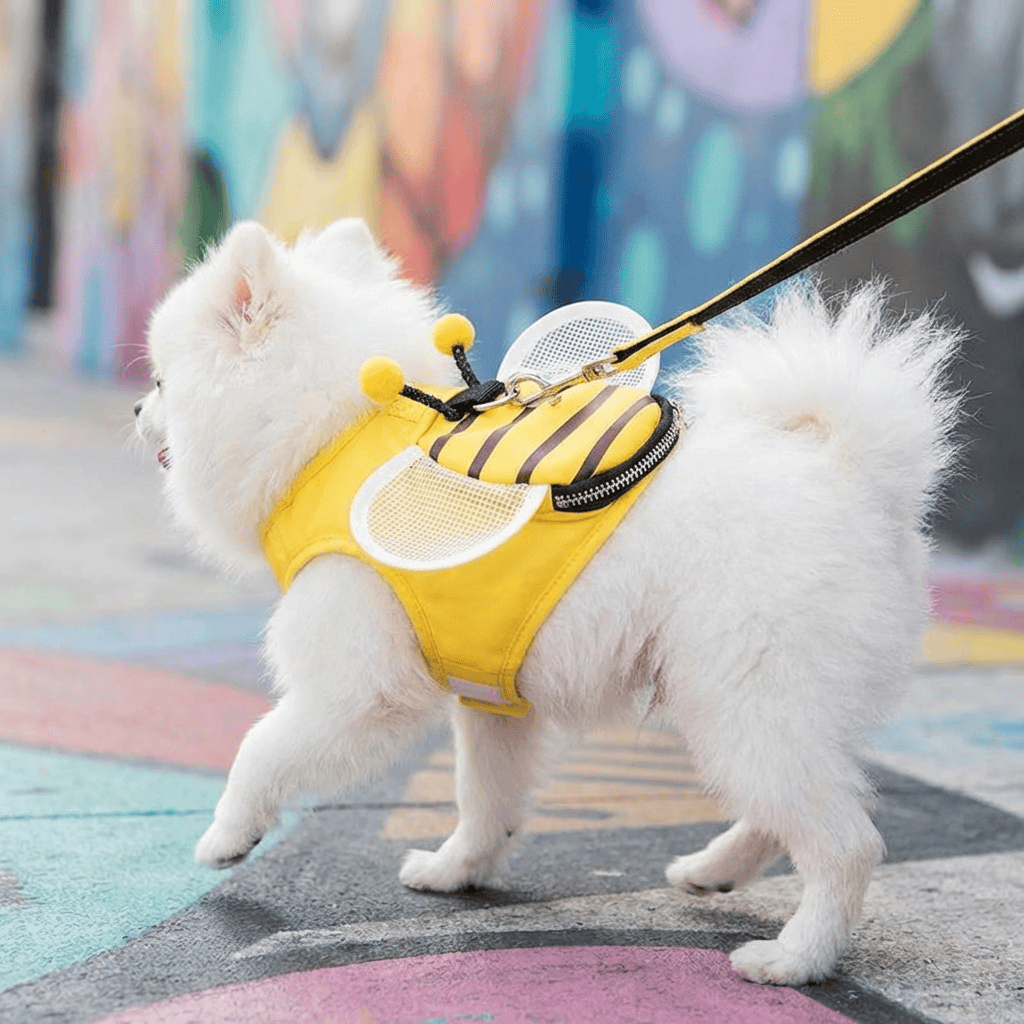 Striped Bee Dog Harness With Leash on a fluffy dog, featuring soft padding and a comfortable fit for pets.
