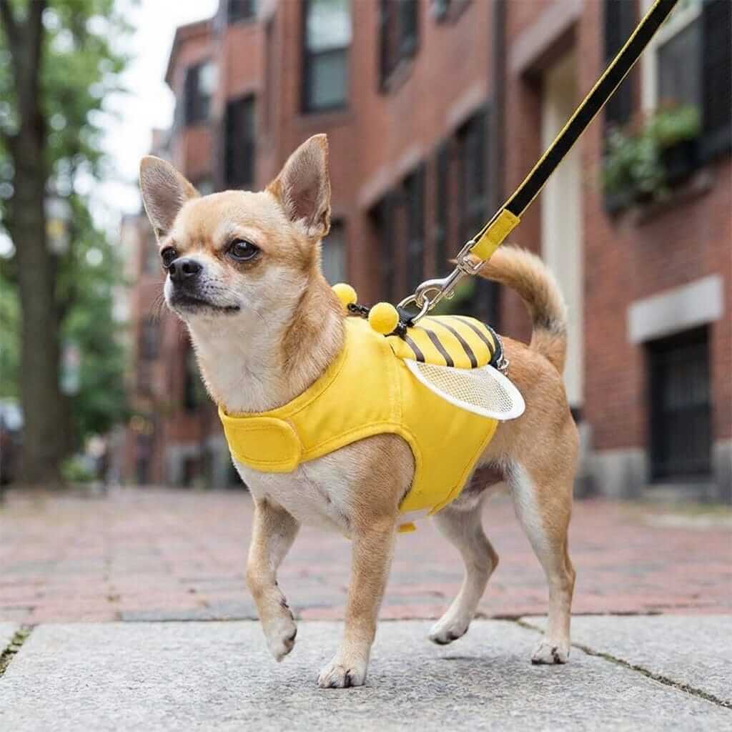Striped Bee Dog Harness With Leash for comfort and control, featuring padded mesh and soft inner padding for Dogs & Cats.
