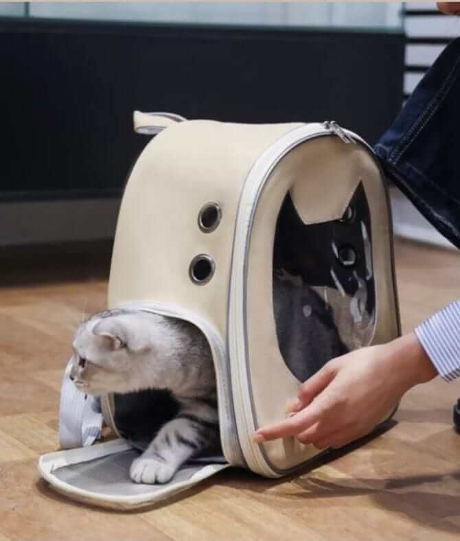 Stylish Cat Travel Backpack with cats, breathable design, secure interior by Dogs & Cats brand.