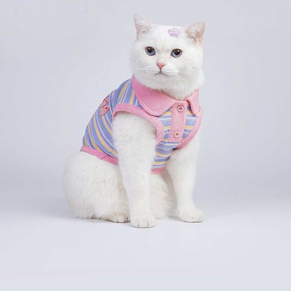 SunStripe Dog Polo on a white cat in a stylish striped design, perfect for summer, from the Dogs & Cats brand.