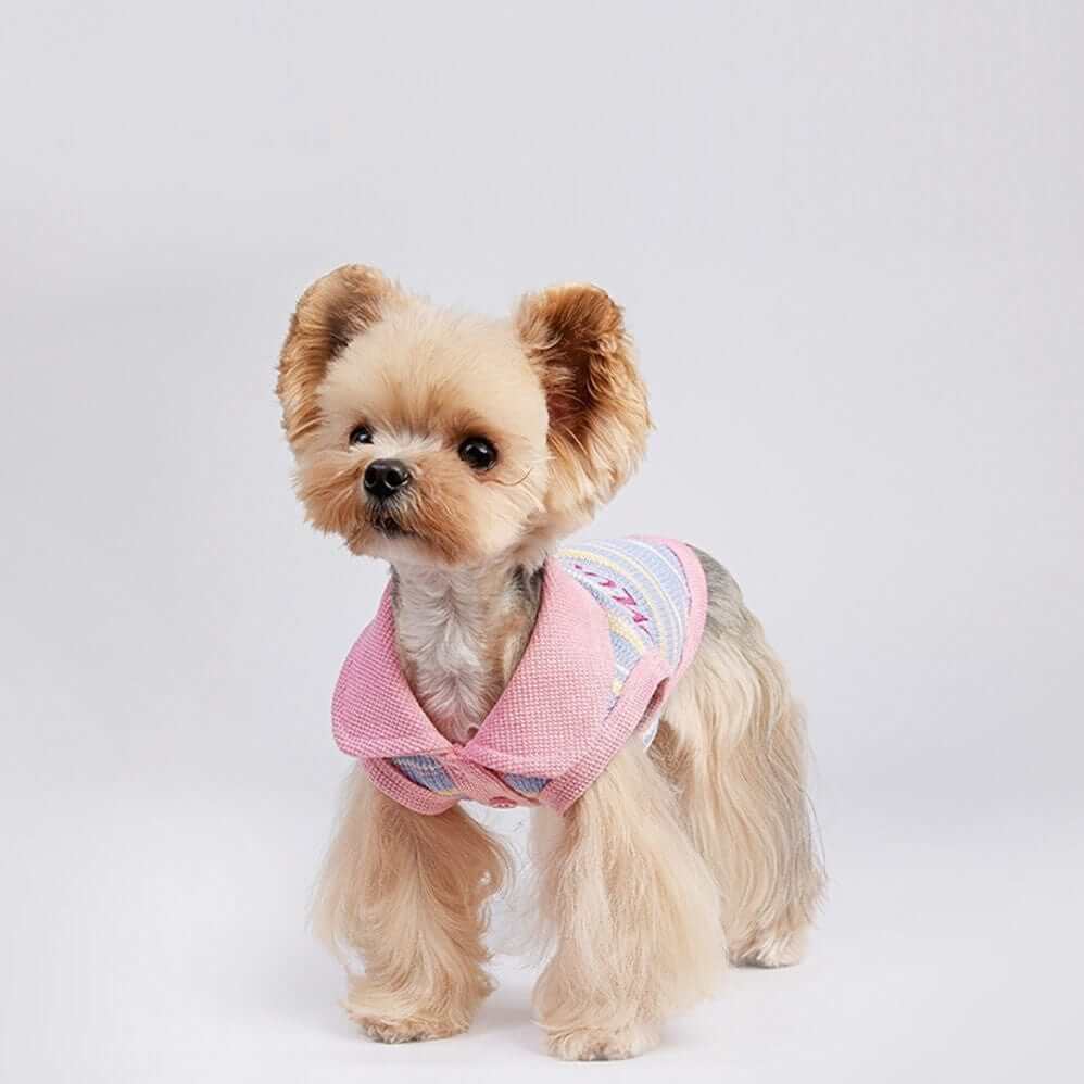 SunStripe Dog Polo on a stylish small dog, features lightweight fabric and chic design suitable for dogs and cats.
