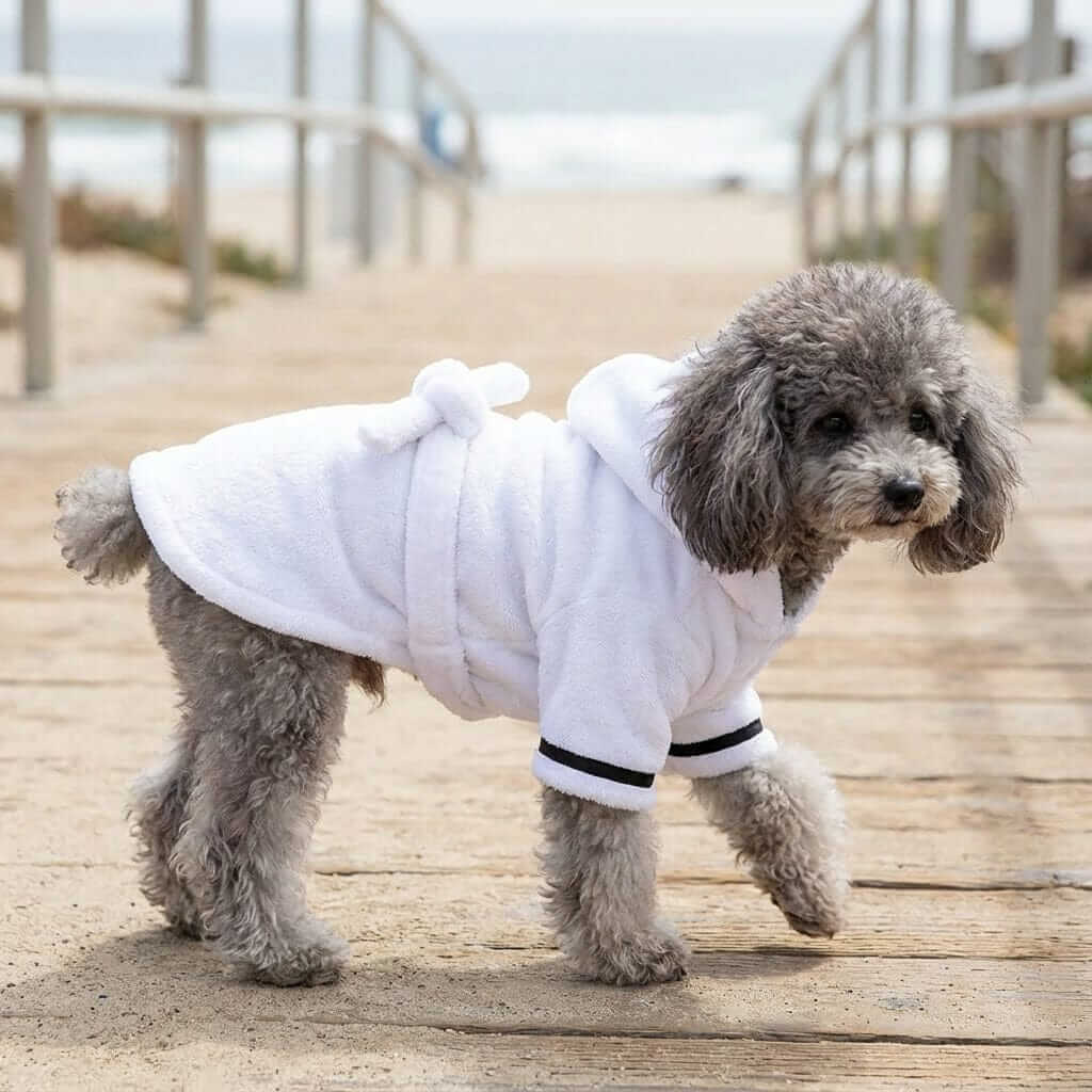Dog wearing a Super Absorbent Cotton Dog Robe, soft and cozy with a tie back belt, perfect for after bath time.