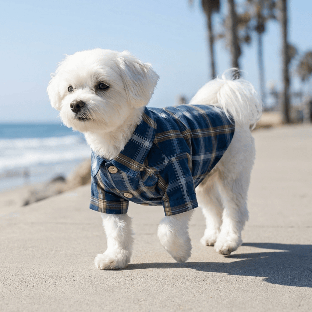 Teddy Plaid Dog Shirt, comfy cotton shirt for dogs by Dogs & Cats, lightweight, stylish, perfect for warm weather.