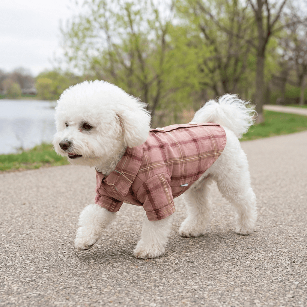 Teddy Plaid Dog Shirt on a fluffy white dog walking by the lake, showcasing its lightweight cotton and trendy design.