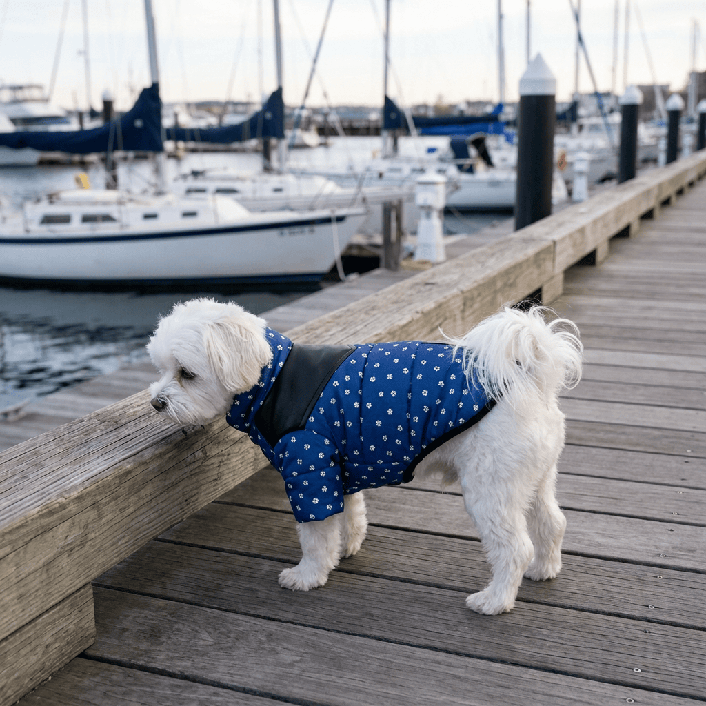 Thick Warm Padded Dog Winter Coat on a small dog by the docks, featuring padded design and stylish warmth for Dogs & Cats.