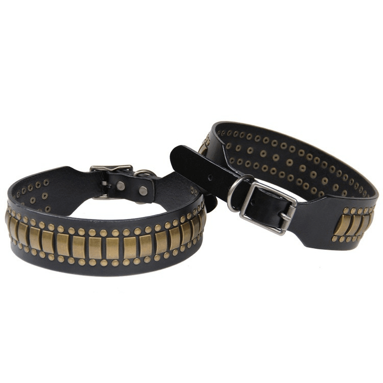 ToughSpike Leather Dog Collar, studded leather design for large breeds, strong and stylish by Dogs & Cats.