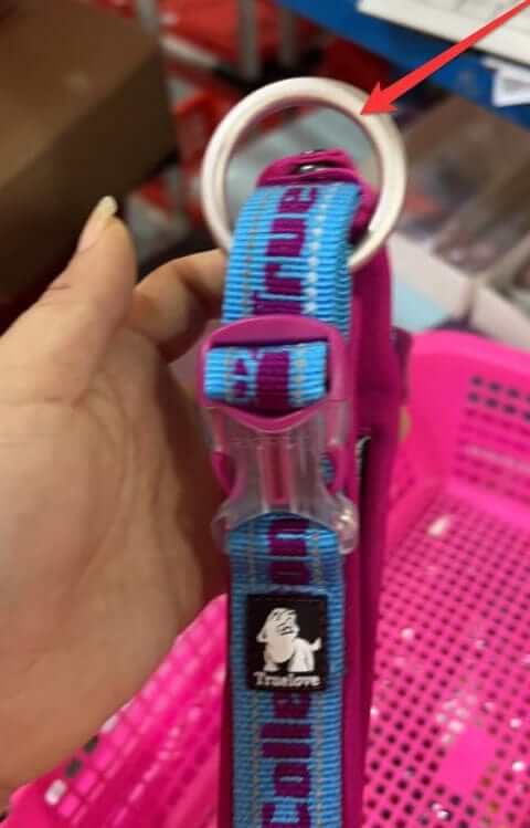 GlowGuard No-Pull Dog Harness leash attachment ring and durable strap design for comfortable dog walks.