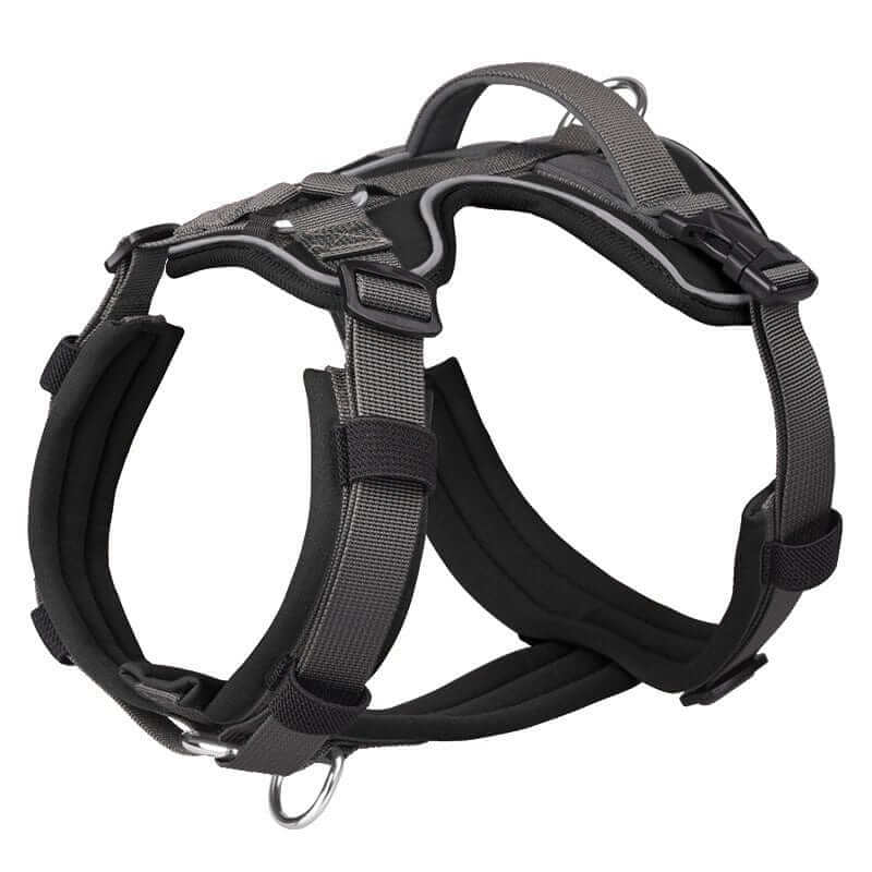 Ultimate Reflective No-Pull Dog Harness featuring style, safety, and comfort for dogs from Dogs & Cats.