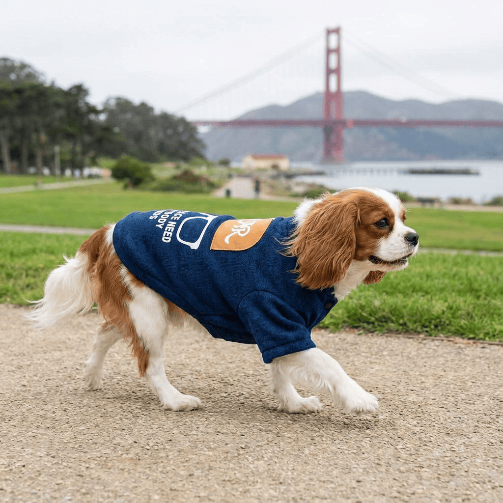 Unique Printed Knitted Pet Sweatshirt on a dog by Dogs & Cats brand, ideal for stylish outings and pets.