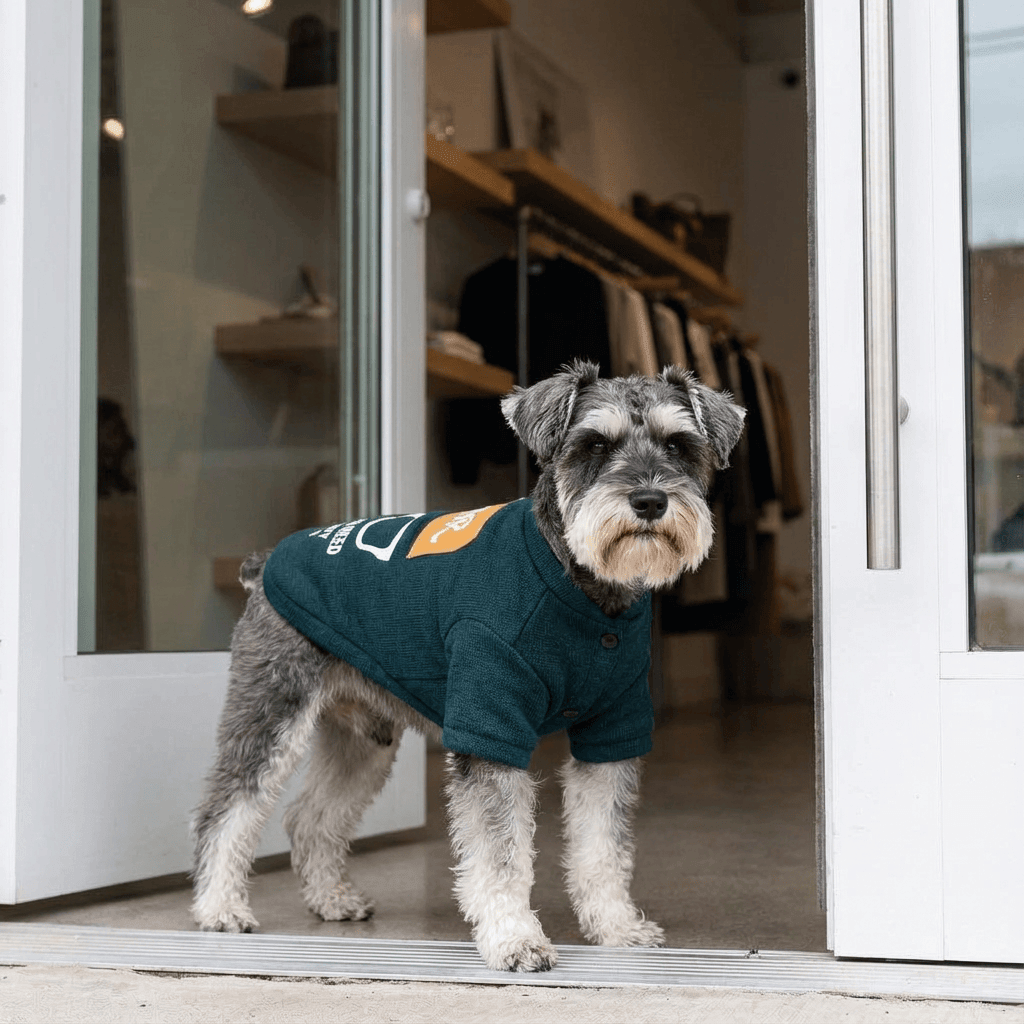 Unique Printed Knitted Pet Sweatshirt for stylish dogs, featuring a unique design, perfect for parties and everyday wear.