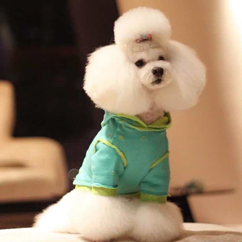 Urban Style Dog Hoodie for small dogs, featuring lightweight material and streetwear design by Dogs & Cats.