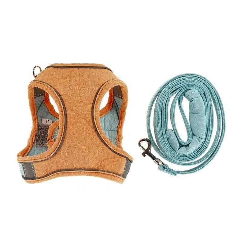 Vest-Style Chest Cat Harness with adjustable belt and leash by Dogs & Cats brand, designed for safety and comfort.