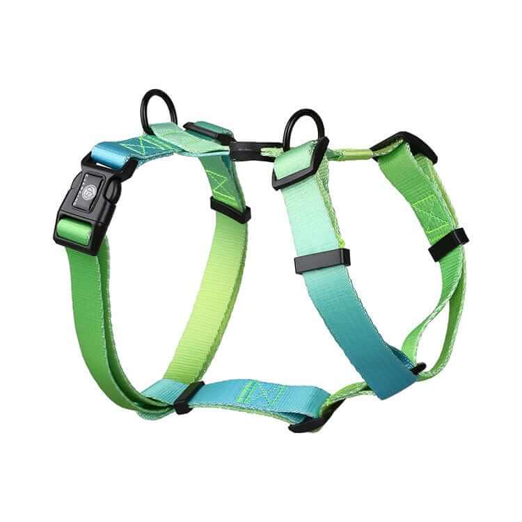Vibrant Gradient Dog Harness, I-shaped design, secure control, comfort, Dogs & Cats brand.