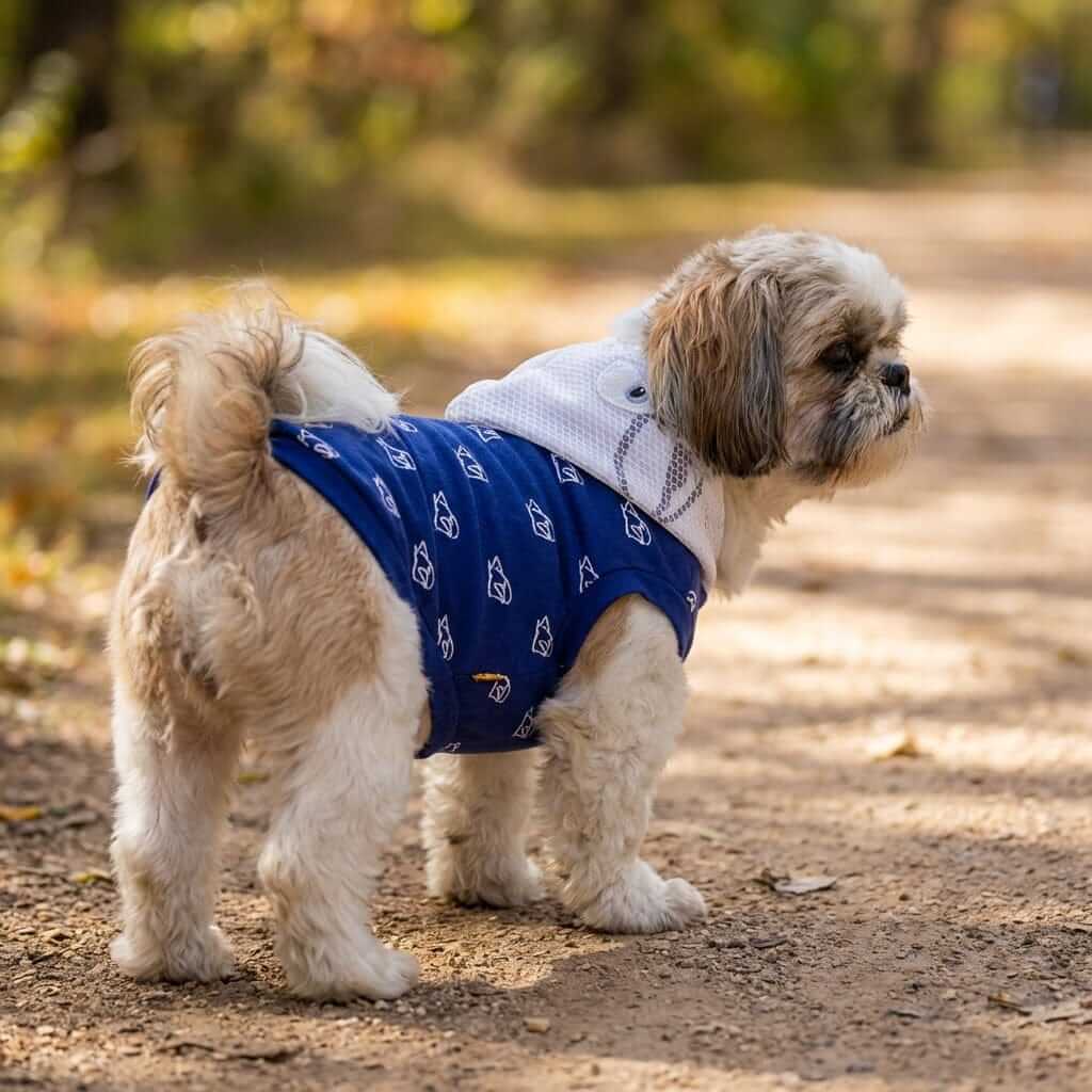 Warm Sleeveless Dog Hoodie on a dog, perfect for chilly weather, featuring a stylish design from Dogs & Cats brand.