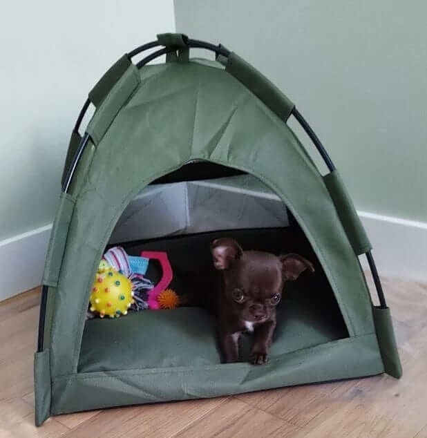 Washable Pet Tent Bed for dogs and cats, green pet teepee with removable cushion and toys inside.